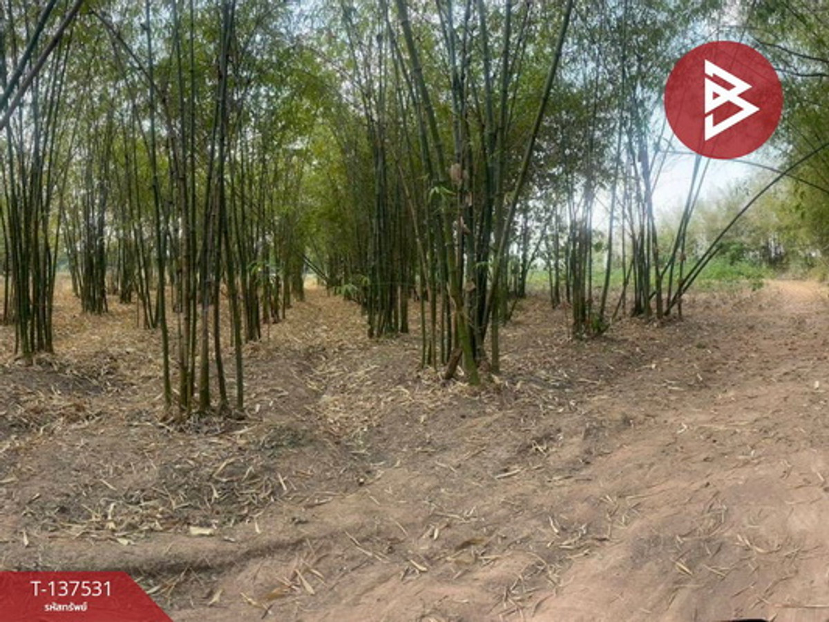 For SaleLandKhon Kaen : Land for sale, area 7 rai, Ban Wa, Khon Kaen