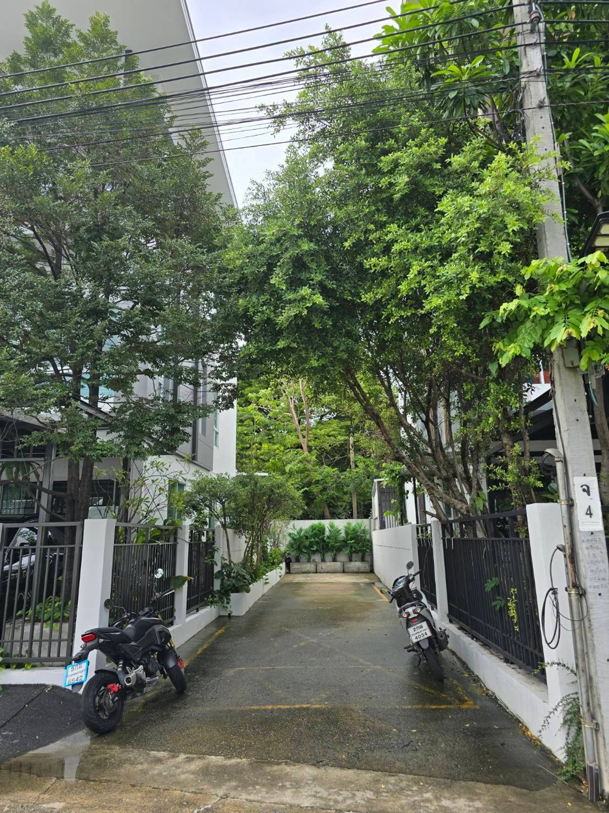 ให้เช่าทาวน์โฮมโชคชัย4 ลาดพร้าว71 : 💥CP-10581💥ว่าง ให้ เช่า  ทาวน์โฮม 3 ชั้น โครงการ ฟีล ลาดพร้าว 71👉แอดไลน์ @goodcondo