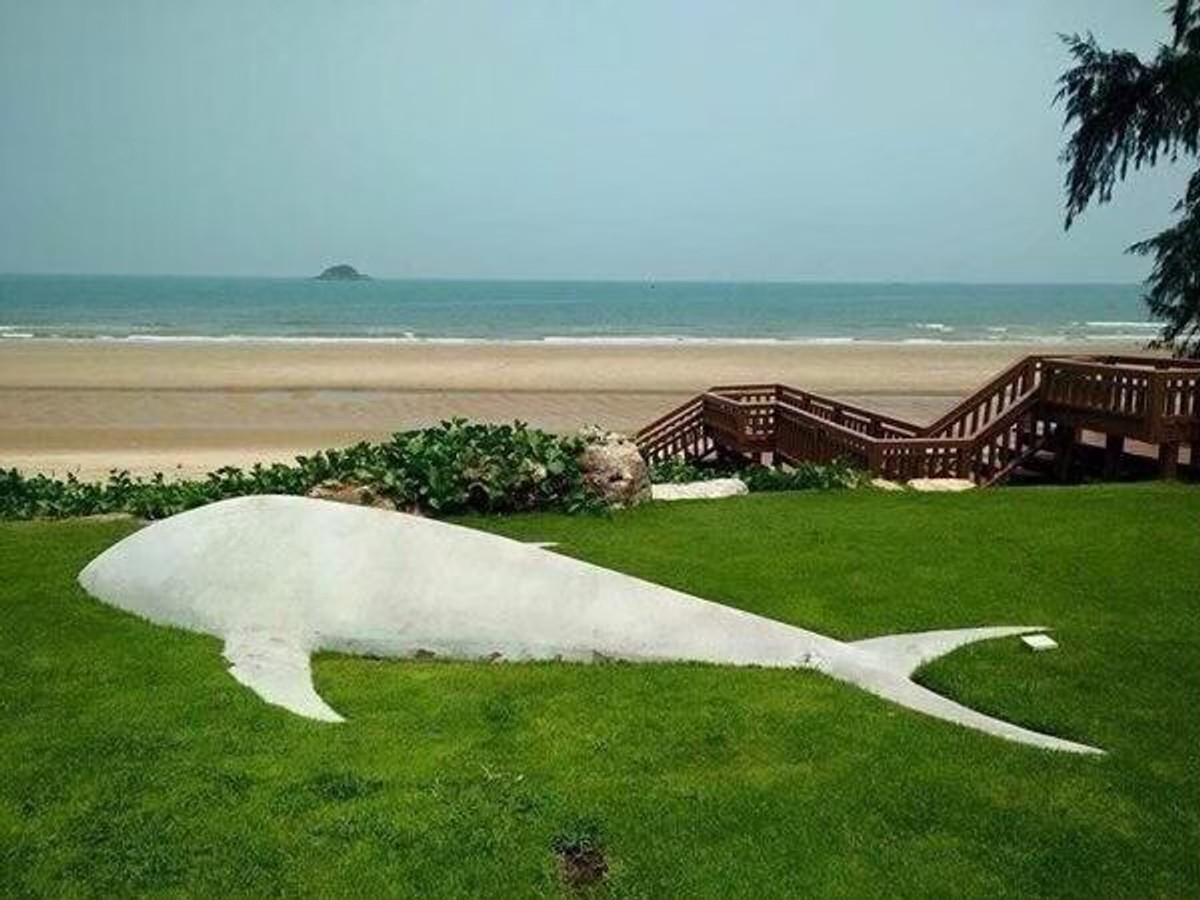 คอนโดหัวหิน ประจวบคีรีขันธ์ : 🌴 คอนโดให้เช่า / ขาย หัวหิน เขาเต่า (Khao Tao, Hua Hin)