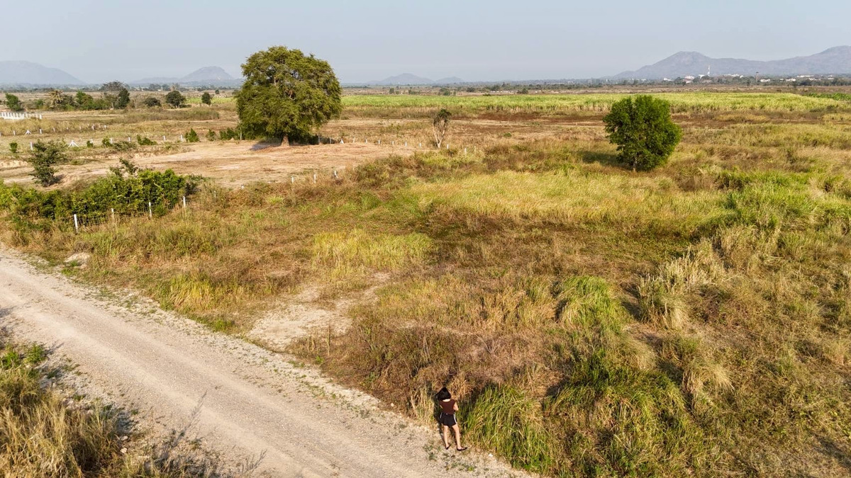 ขายที่ดินชะอำ เพชรบุรี : ขายที่ดิน 1 ไร่ ใน ต.ไร่ใหม่พัฒนา อ.ชะอำ จ.เพชรบุรี ราคา 950,000 บาท