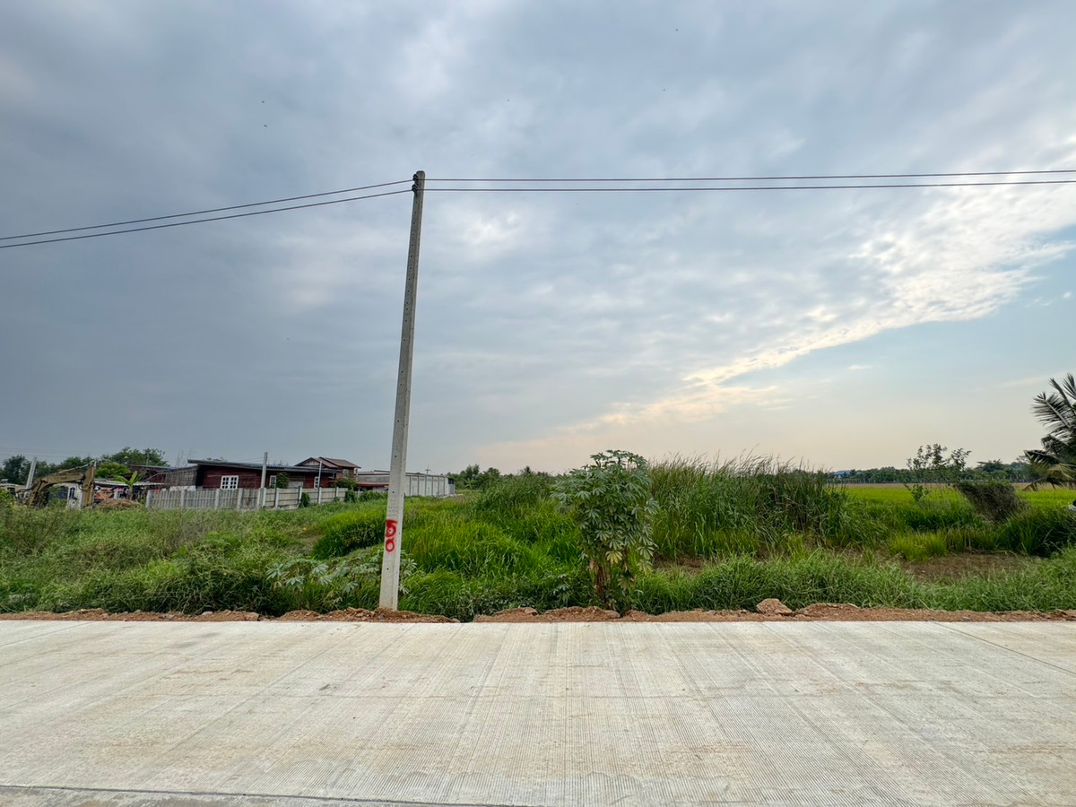 ขายที่ดินปทุมธานี รังสิต ธรรมศาสตร์ : ขายที่ดิน