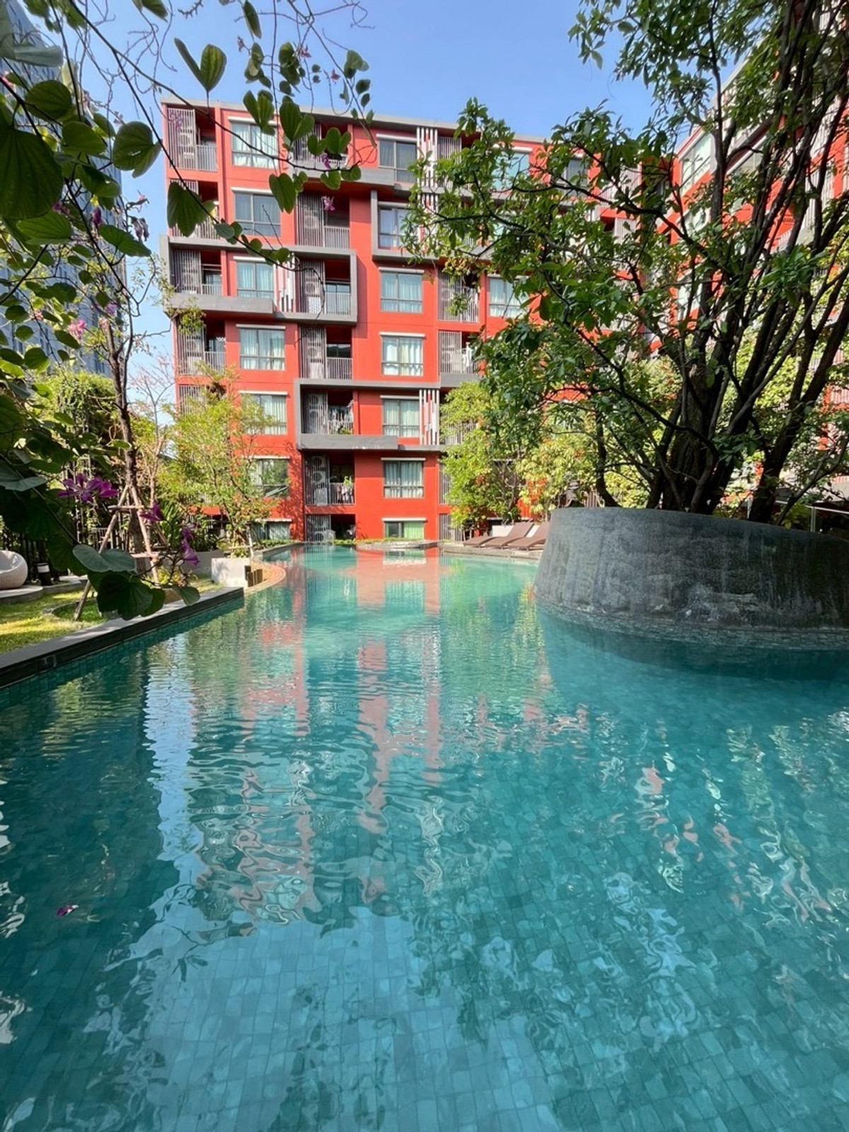 ให้เช่าคอนโดราชเทวี พญาไท : THE TREE ดินแดง FOR-RENT 1Bedroom 
New📍 12.5K Call0849792464