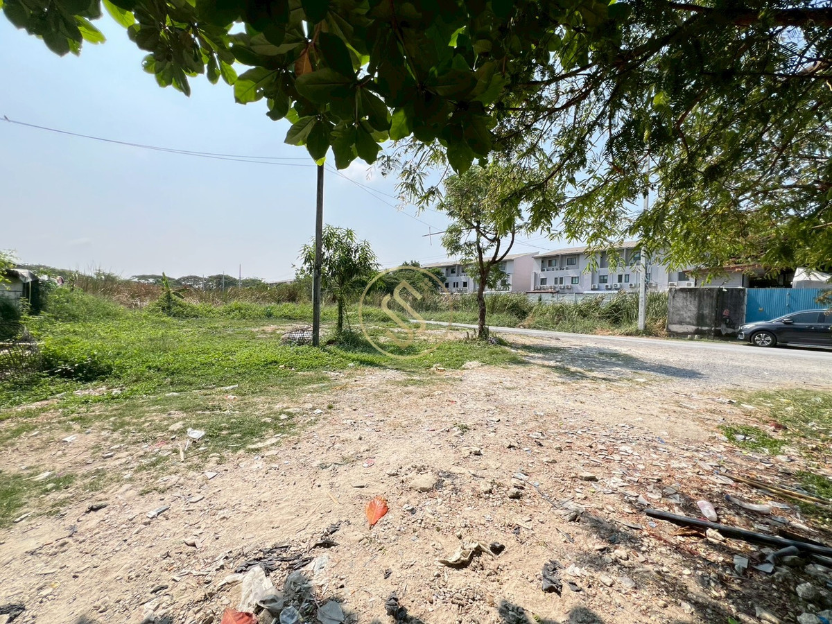 ขายที่ดินพัฒนาการ ศรีนครินทร์ : ขายด่วน! ที่ดินถมแล้วแปลงสวย ซอยพัฒนาการ 99 แขวงประเวศ หรือ อ่อนนุช 70/1 แยก2-8  ขนาด 380 ตารางวา เข้าซอยเพียง 500 เมตร 60,000 บาท/ตรว