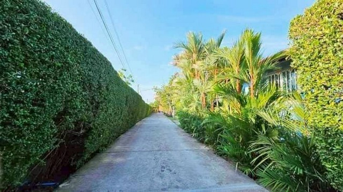 ขายบ้านพัทยา บางแสน ชลบุรี สัตหีบ : ขายบ้านเดี่ยว 2 ไร่ 94.5 ตรว. ใกล้อ่างเก็บน้ำมาบประชัน 5 นอน 6 น้ำ มีบ้านพักรีสอร์ท 3 หลัง และห้องใต้ดินสุดหรู ใกล้สนามกอล์ฟและรร.นานาชาติ 