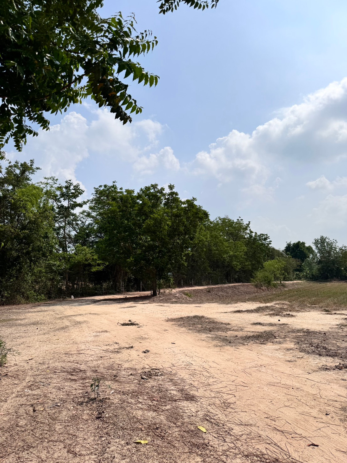For SaleLandUthai Thani : [Land for sale very cheap] It is a rice field on an area of ​​23 rai 2 ngan, inexpensive price in the land of Nong Chang District, Uthai Thani.