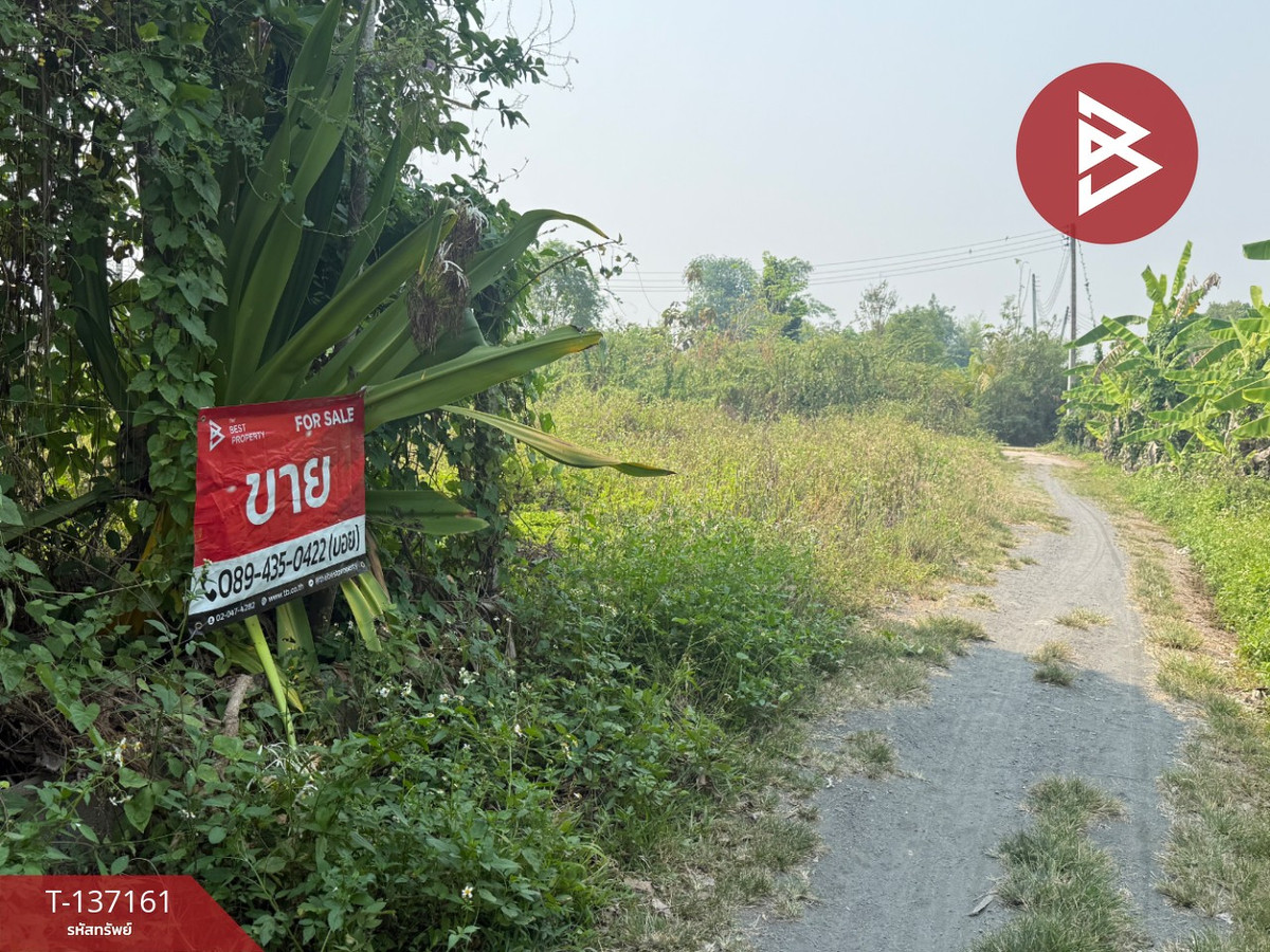 ขายที่ดินเชียงใหม่ : ขายที่ดิน เนื้อที่ 83 ตร.วา สารภี เชียงใหม่