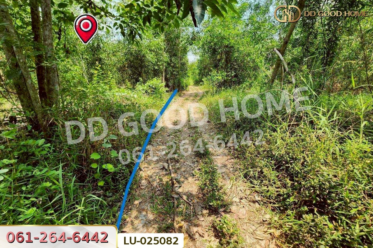 ขายที่ดินมีนบุรี-ร่มเกล้า : ที่ดินคลองสิบสอง 1 ไร่ 1 ตร.ว. หนองจอก ใกล้ศูนย์สุขภาพโรงพยาบาลเวชการุณย์รัศมิ์ LU-025082