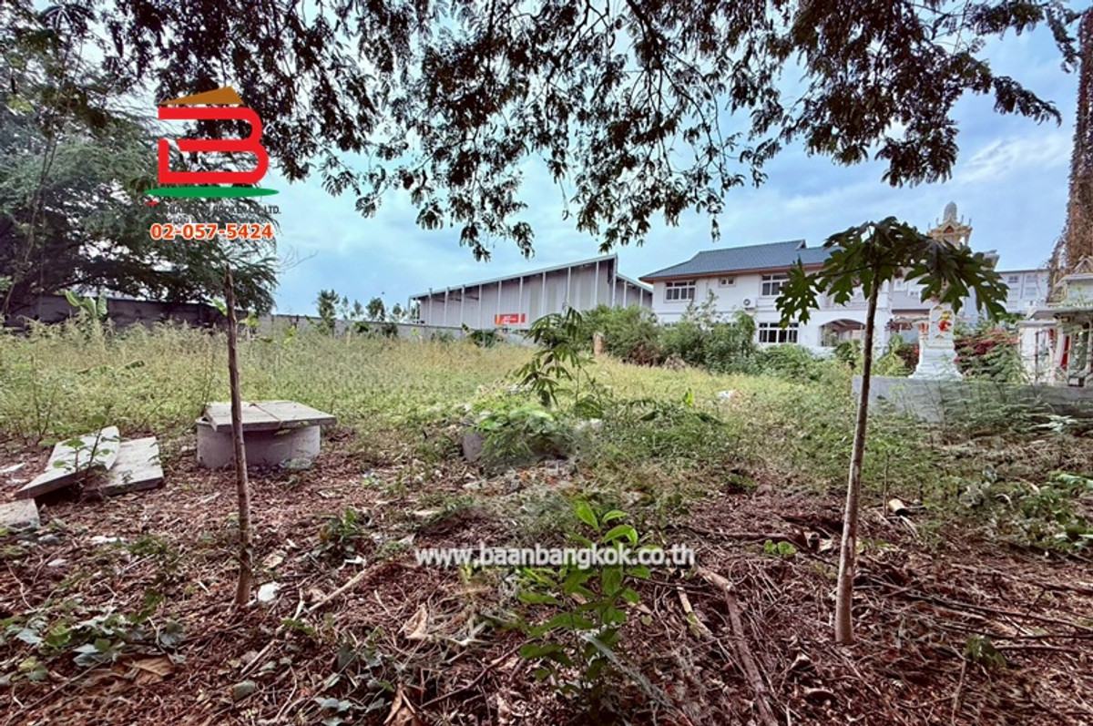 ขายที่ดินนนทบุรี บางใหญ่ บางบัวทอง : ที่ดินเปล่า เนื้อที่ 136 ตรว. ซอยเลียบคลองถนน (ใกล้เซ็นทรัลเวสต์เกต) ถนนกาญจนาภิเษก ตำบลบางรักใหญ่ อำเภอบางบัวทอง จังหวัดนนทบุรี