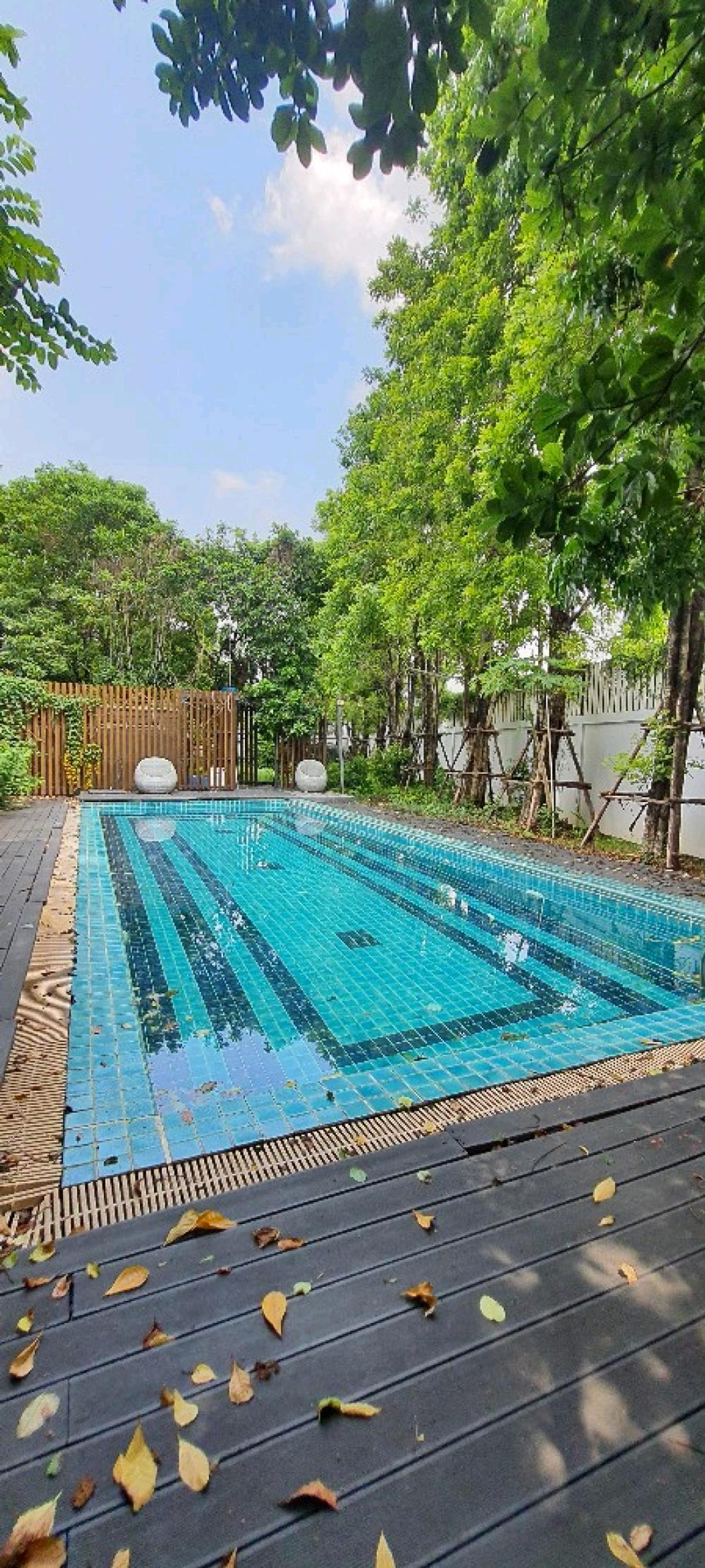 ทาวน์โฮมเกษตร นวมินทร์ ลาดปลาเค้า : ขาย/ ให้เช่าทาว์นโฮม  3 ชั้น 3 หัองนอน 250 ตรม หลังมุม หมู่บ้านอีโค-สเปซ เกษตร-นวมินทร์