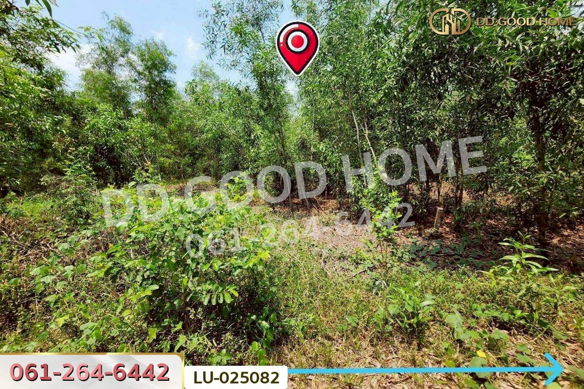 ขายที่ดินมีนบุรี-ร่มเกล้า : ที่ดินคลองสิบสอง 1 ไร่ 1 ตร.ว. หนองจอก ใกล้ศูนย์สุขภาพโรงพยาบาลเวชการุณย์รัศมิ์ LU-025082