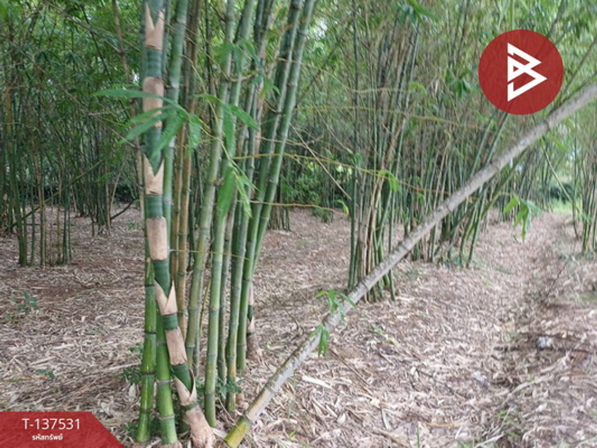 For SaleLandKhon Kaen : Land for sale, area 7 rai, Ban Wa, Khon Kaen