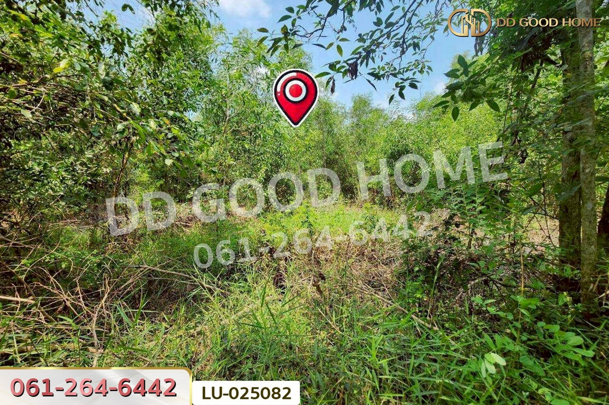 ขายที่ดินมีนบุรี-ร่มเกล้า : ที่ดินคลองสิบสอง 1 ไร่ 1 ตร.ว. หนองจอก ใกล้ศูนย์สุขภาพโรงพยาบาลเวชการุณย์รัศมิ์ LU-025082