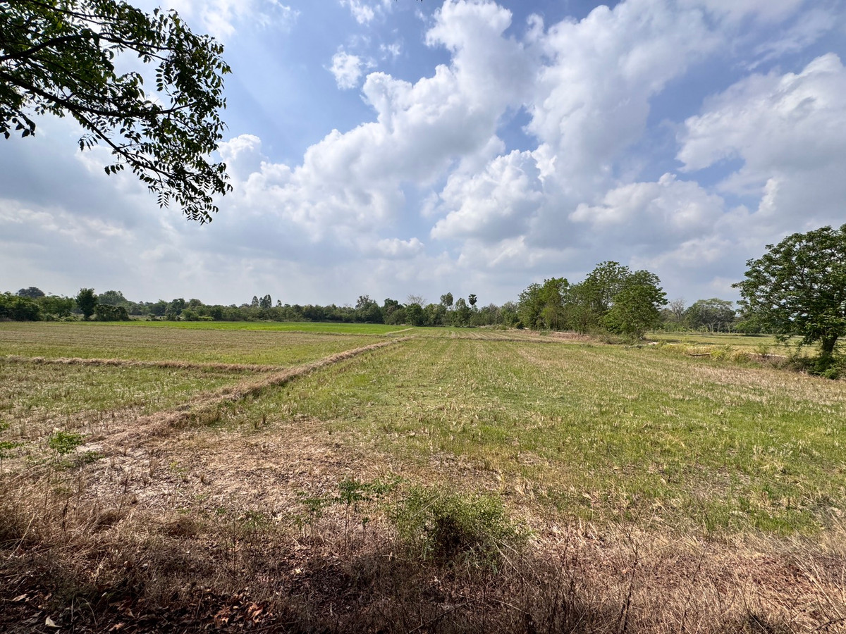 For SaleLandUthai Thani : [Land for sale very cheap] It is a rice field on an area of ​​23 rai 2 ngan, inexpensive price in the land of Nong Chang District, Uthai Thani.
