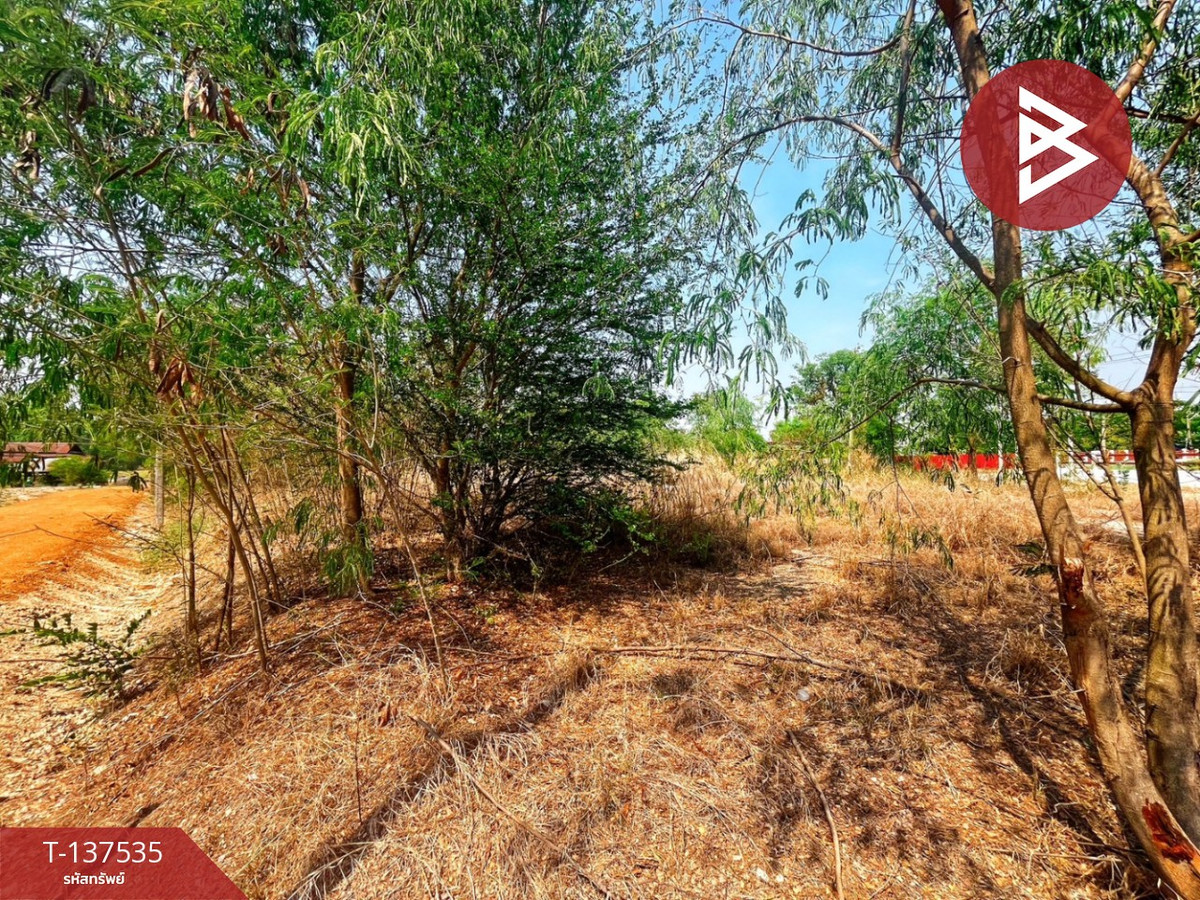 ขายที่ดินอุทัยธานี : ขายที่ดิน เนื้อที่ 1 ไร่ 20.1 ตารางวา ต.หนองฉาง อ.หนองฉาง จ.อุทัยธานี ทำเลดี ราคาถูก