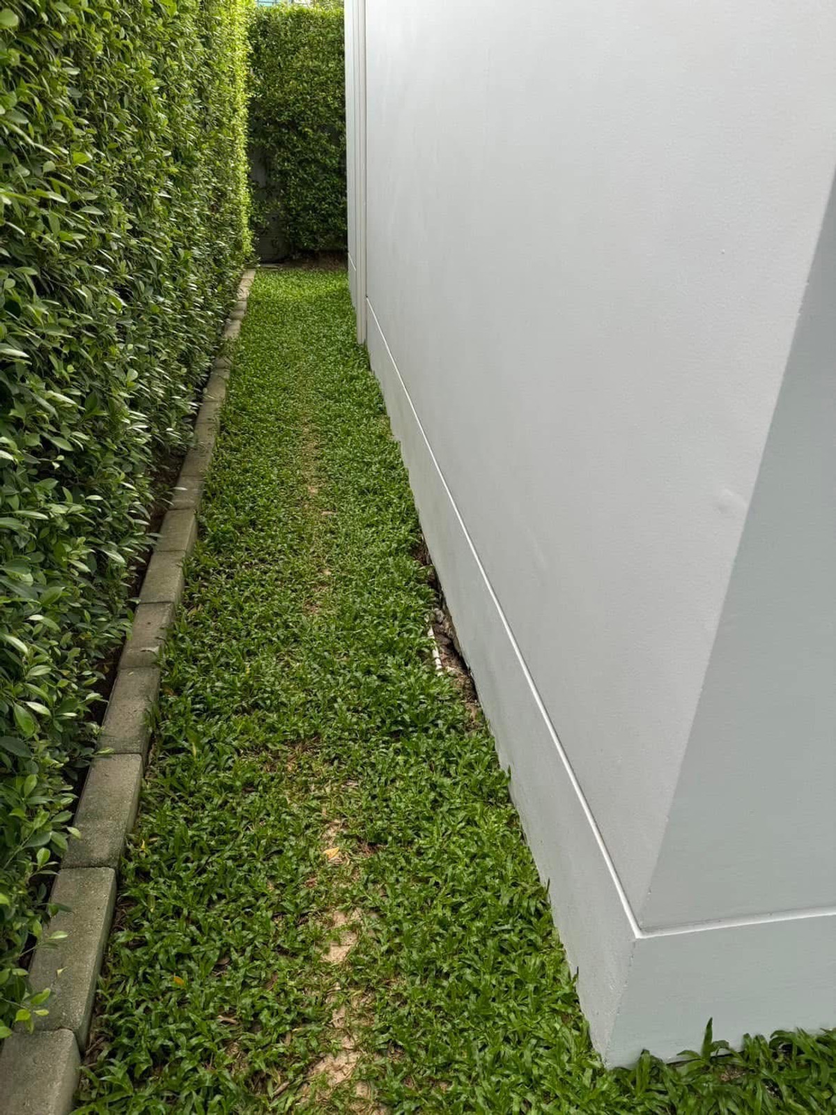 For RentHouseBangna, Bearing, Lasalle : S04-0109 Luxury Single House for Rent or Sale: THE CITY BANGNA