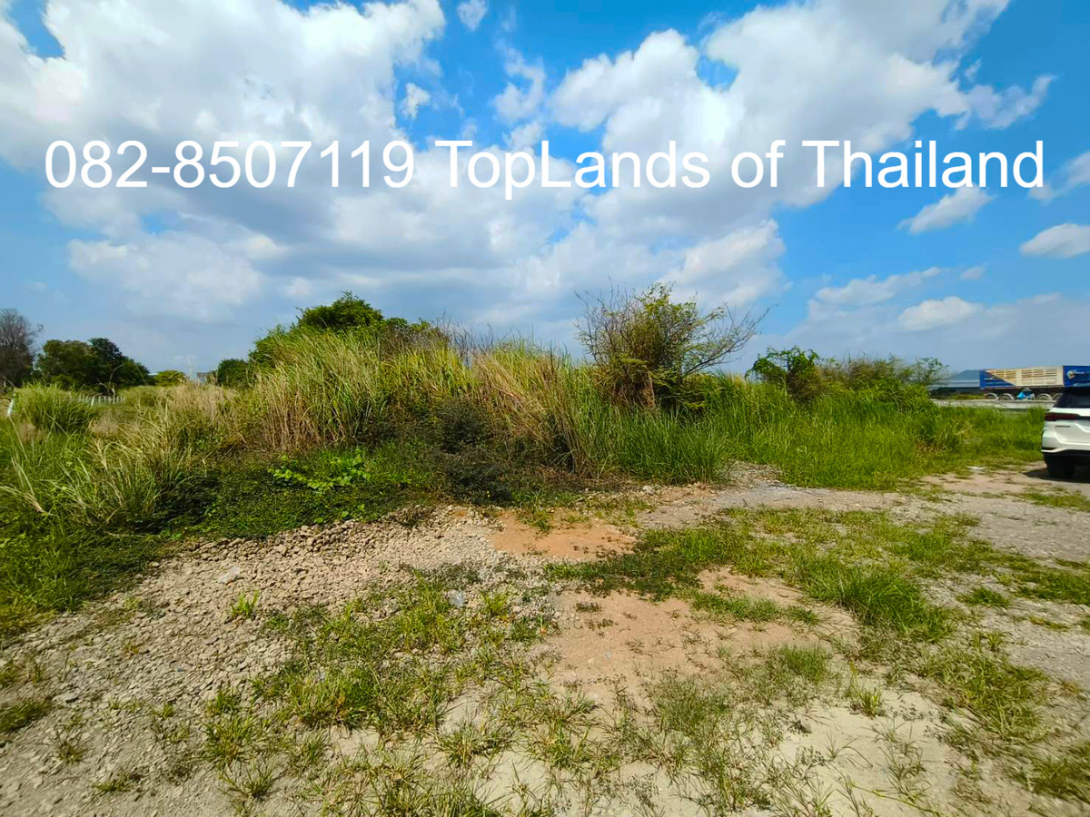 ขายที่ดินศรีราชา แหลมฉบัง บ้านบึง : ขาย ที่ดิน ศรีราชา แหลมฉบัง ผังสีม่วง (ใกล้ท่าเรือ และนิคมอุตสาหกรรม 2 แห่ง) เนื้อที่ 6 ไร่ ถนนกว้าง 8-12 m. เหมาะสร้าง โกดัง คลังสินค้า โรงงานอุตสาหกรรม