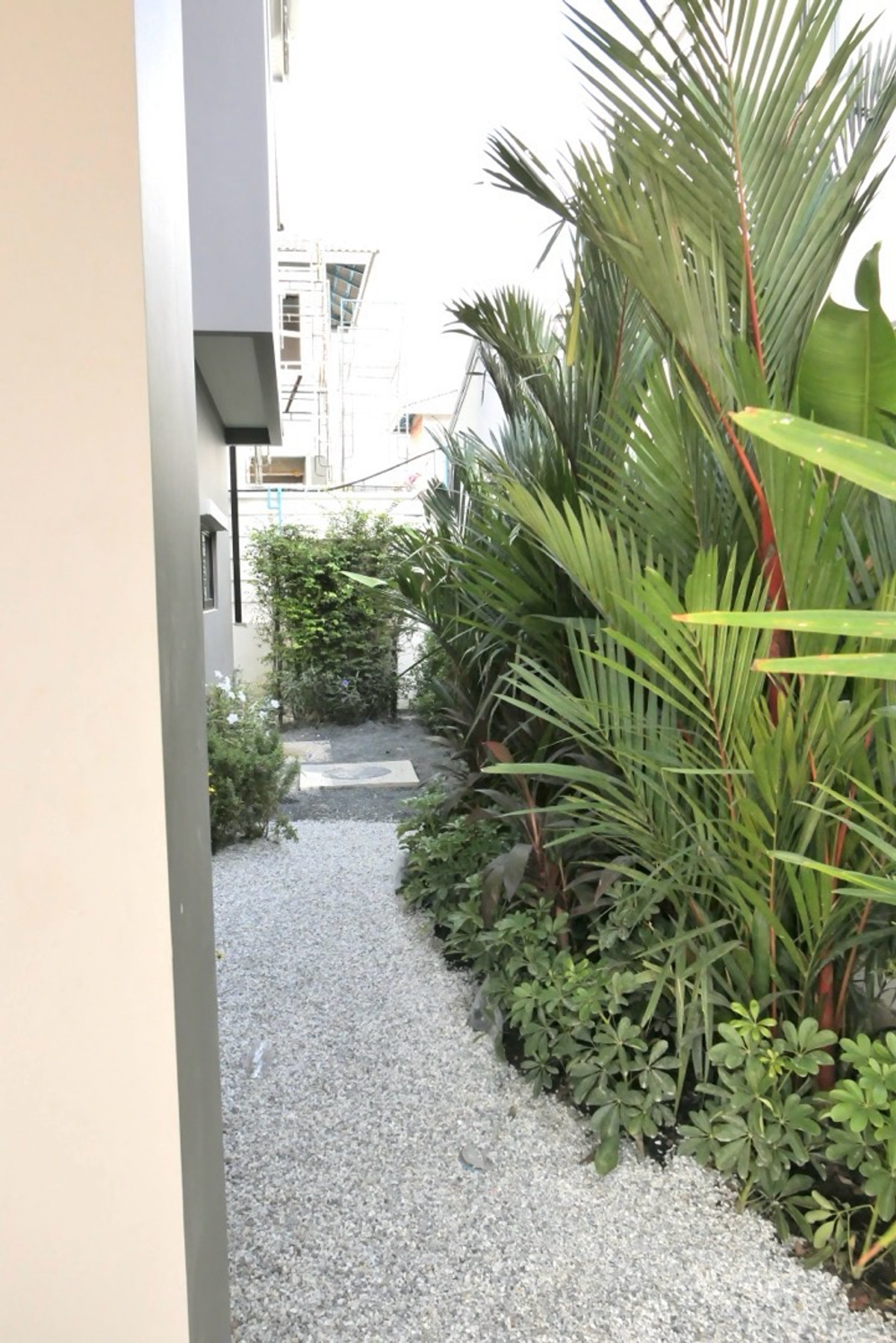 บ้านภูเก็ต : วิลล่า เพื่อ เช่าหรือ ขาย ที่ ภูเก็ต