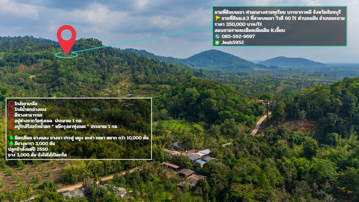 ขายที่ดินจันทบุรี : ขายที่ดินบนเขา อำเภอมะขาม จันทบุรี ท่ามกลางสวนทุเรียน บรรยากาศดี