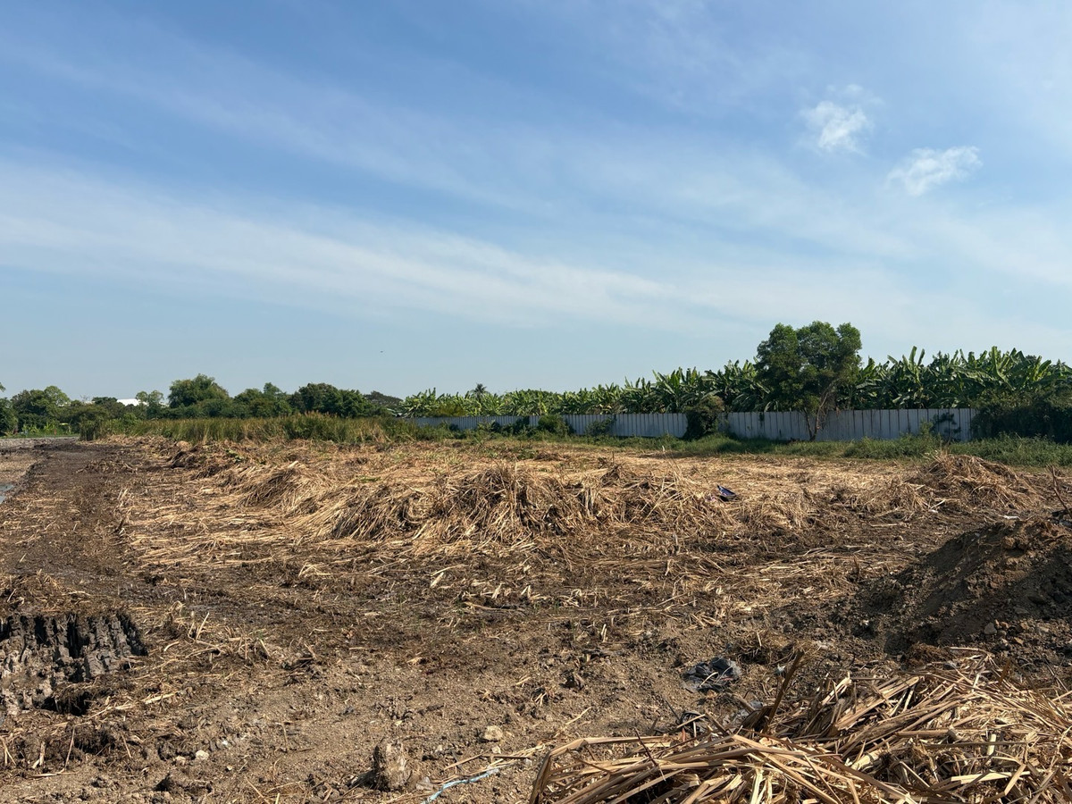 ขายที่ดินปทุมธานี รังสิต ธรรมศาสตร์ : ขายที่ดินติดถนนใหญ่ 4 เลน ถ.ลำลูกกา คลอง 7 -ธัญบุรี (ปท 3004)