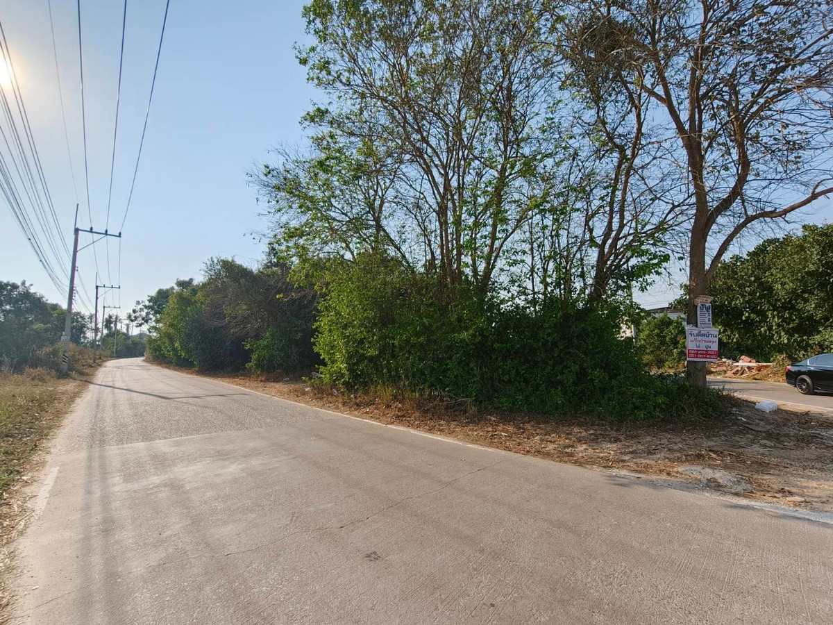 ขายที่ดินพัทยา บางแสน ชลบุรี สัตหีบ : ขายที่ดิน ซอย เทพมิมิตร ต.หนองปลาไหล บางระมุง ชลบุรี  โทร 095-089-2688  