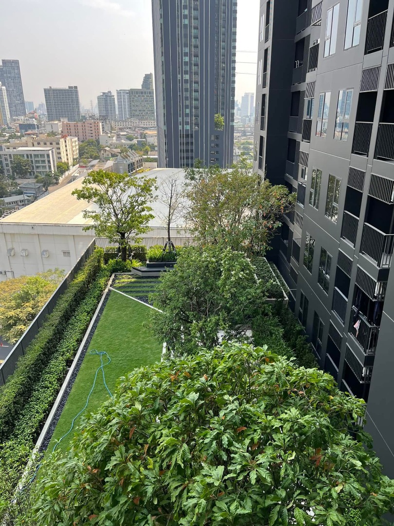 ให้เช่าคอนโดลาดพร้าว เซ็นทรัลลาดพร้าว : 🔥ให้เช่าด่วน🔥ไลฟ์ พหล - ลาดพร้าว ห้องสวย วิวสวน+วิวเมือง ชั้น 11 ตรงข้าม Central ลาดพร้าว ติด BTS ห้าแยกลาดพร้าว เฟอร์ครบ พร้อมอยู่