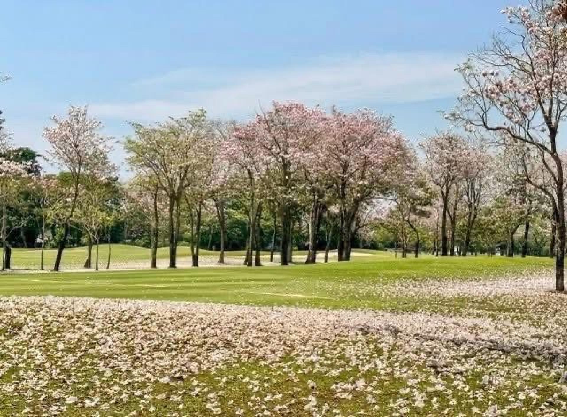 ขายบ้านนวมินทร์ รามอินทรา : ขายเดี่ยว หมู่บ้านนวธานี เสรีไทย 587ตรว. 730ตรม.