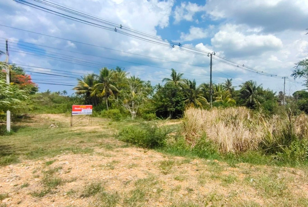 ขายที่ดินหัวหิน ประจวบคีรีขันธ์ : ขายที่ดินเปล่า อ.เมืองประจวบคีรีขันธุ์