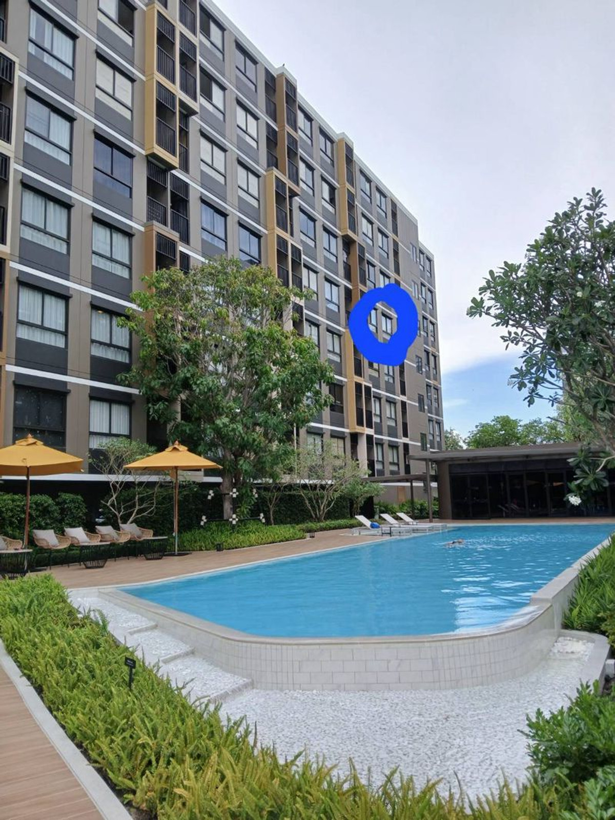 ให้เช่าคอนโดลาดกระบัง สุวรรณภูมิ : ให้เช่าห้องใหม่กิ๊ก D condo air ดี คอนโด แอร์ ลาดกระบัง ตึกA ใกล้สนามบินสุวรรณภูมิ #วิวสระว่ายน้ำ #มีสระว่ายน้ำ #ระเบียงตะวันออก 