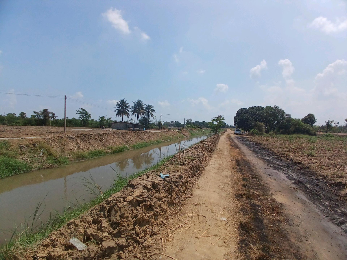 ขายที่ดินสุพรรณบุรี : 🌿 ขายที่ดินสุพรรณบุรี 10 ไร่ ติดคลองชลประทาน 💰 พร้อมไร่อ้อย เก็บเกี่ยวขายได้ทันที!