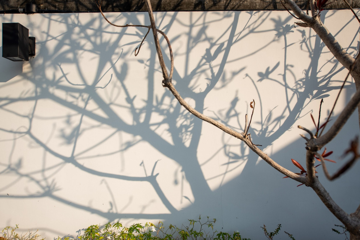 ให้เช่าอาคารพาณิชย์บางนา แบริ่ง ลาซาล : โฮมออฟฟิศ ปรับปรุงใหม่ พร้อมขาย/ให้เช่า – สุขุมวิท ย่านบางนา