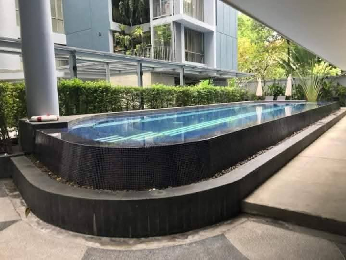 ให้เช่าคอนโดสุขุมวิท อโศก ทองหล่อ : ให้เช่าคอนโดเลี้ยงสัตว์ได้ Downtown Sukhumvit 49 BTS Thonglor Pet Firendly พร้อมอยู่