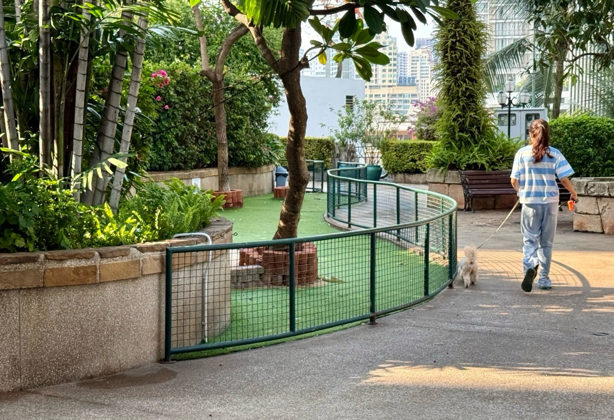 For RentCondoSukhumvit, Asoke, Thonglor : Newly Renovated/ Spacious 3 Bedrooms in Phrom pong ✨