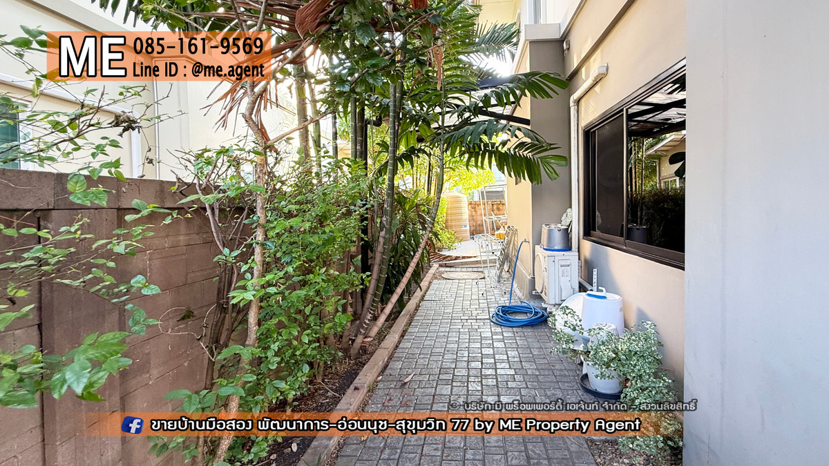 ให้เช่าบ้านอ่อนนุช อุดมสุข : ให้เช่า บ้านเดี่ยว เดอะ แพลนท์ เอสทีจ พัฒนาการ 38 ตกแต่งสวย พร้อมเข้าอยู่ ใกล้ เอกมัย - ทองหล่อ - สุขุมวิท โทร 064-954-9619 (RBE26-55)