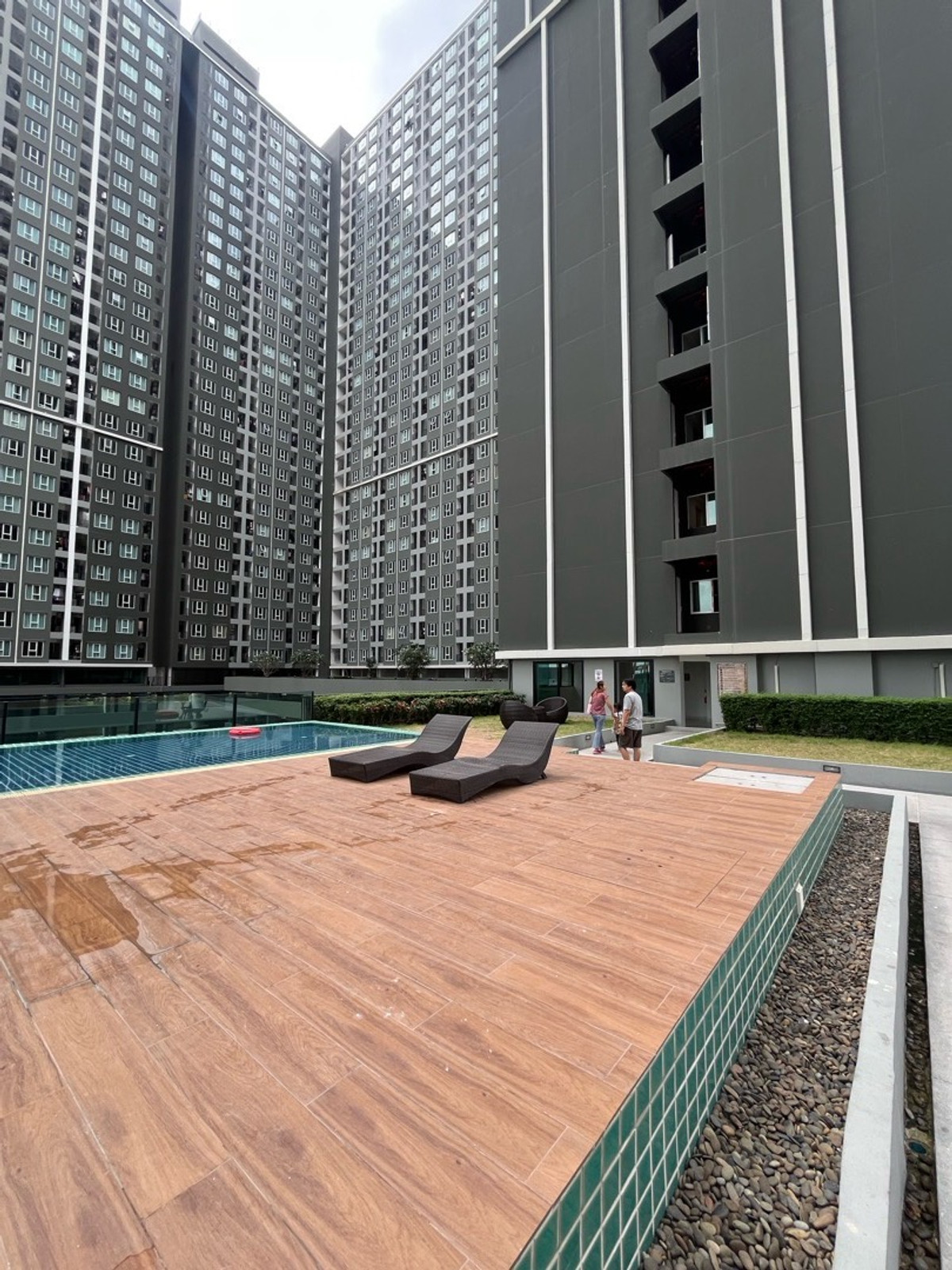 ให้เช่าคอนโดบางนา แบริ่ง ลาซาล : ให้เช่าคอนโด รีเจ้นท์โฮม บางนา✨ห้องใหม่เอี่ยม เฟอร์ฯไฟฟ้าครบ🚊 ใกล้ BTS บางนา 