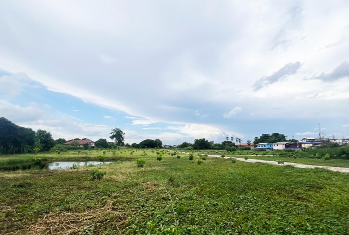 ขายที่ดินปทุมธานี รังสิต ธรรมศาสตร์ : ที่ดินแปลงใหญ่ อ.เมือง ปทุมธานี