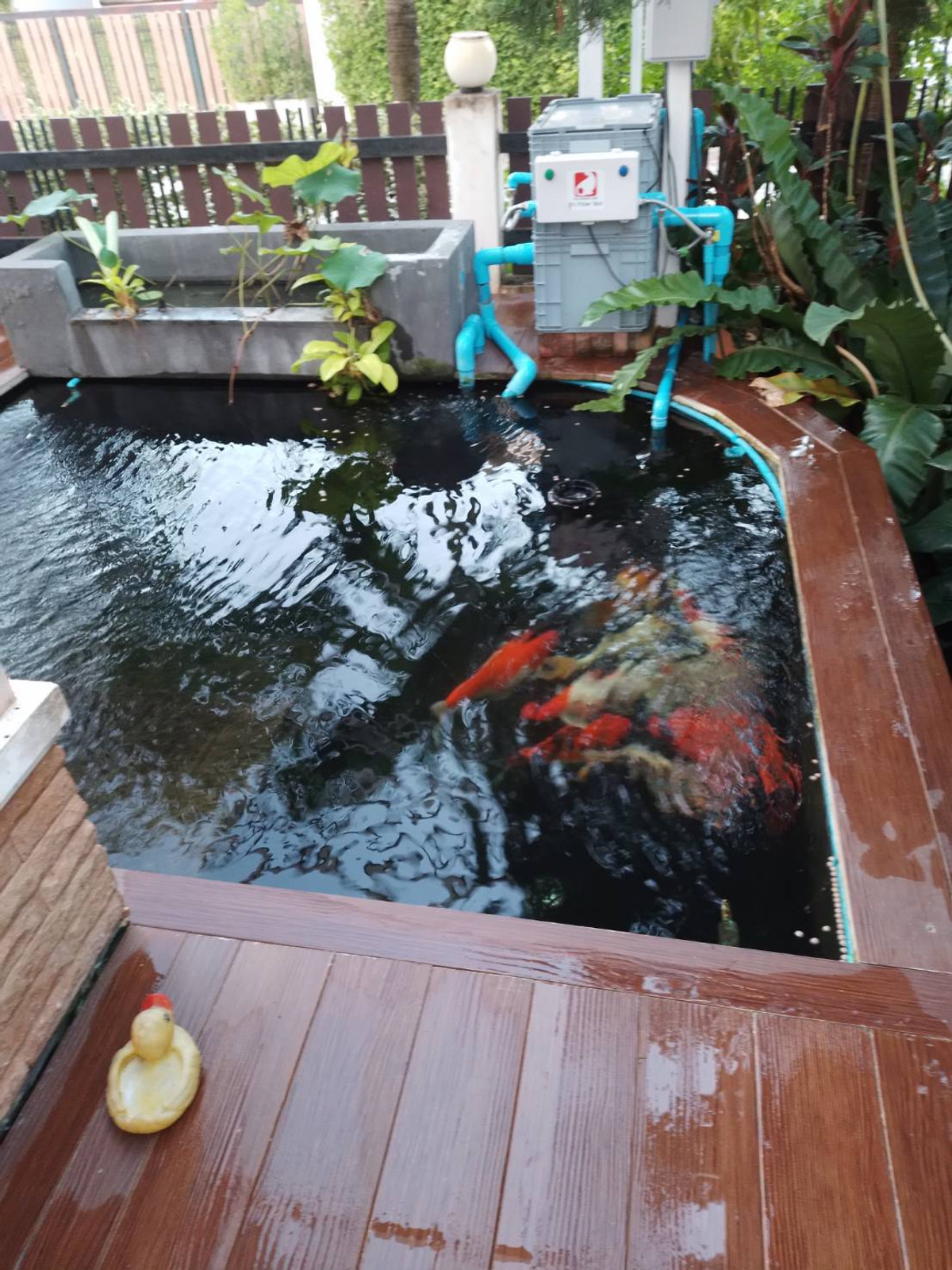 For SaleHouseKoh Samui, Surat Thani : Urgent sale, 2-story detached house, Suksomboon Village 1, Bang Bai Mai, Surat Thani Province.