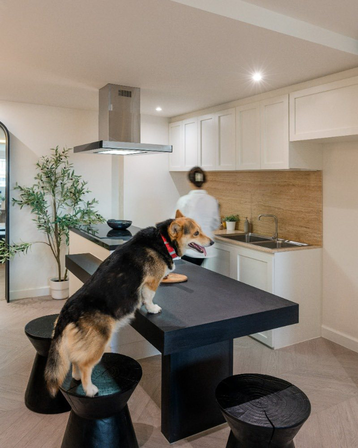 For SaleCondoSukhumvit, Asoke, Thonglor : Le Nice Ekamai / 3 Bedrooms (FOR SALE), Le Nice Ekamai / 3 Bedrooms (For Sale) NA064