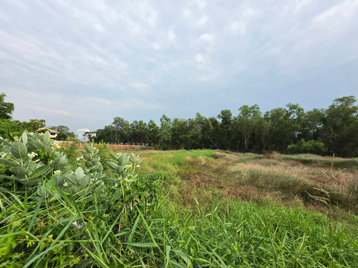 ขายที่ดินปทุมธานี รังสิต ธรรมศาสตร์ : 💥ขายที่ดินทำเลทอง 1 ไร่ ติด 