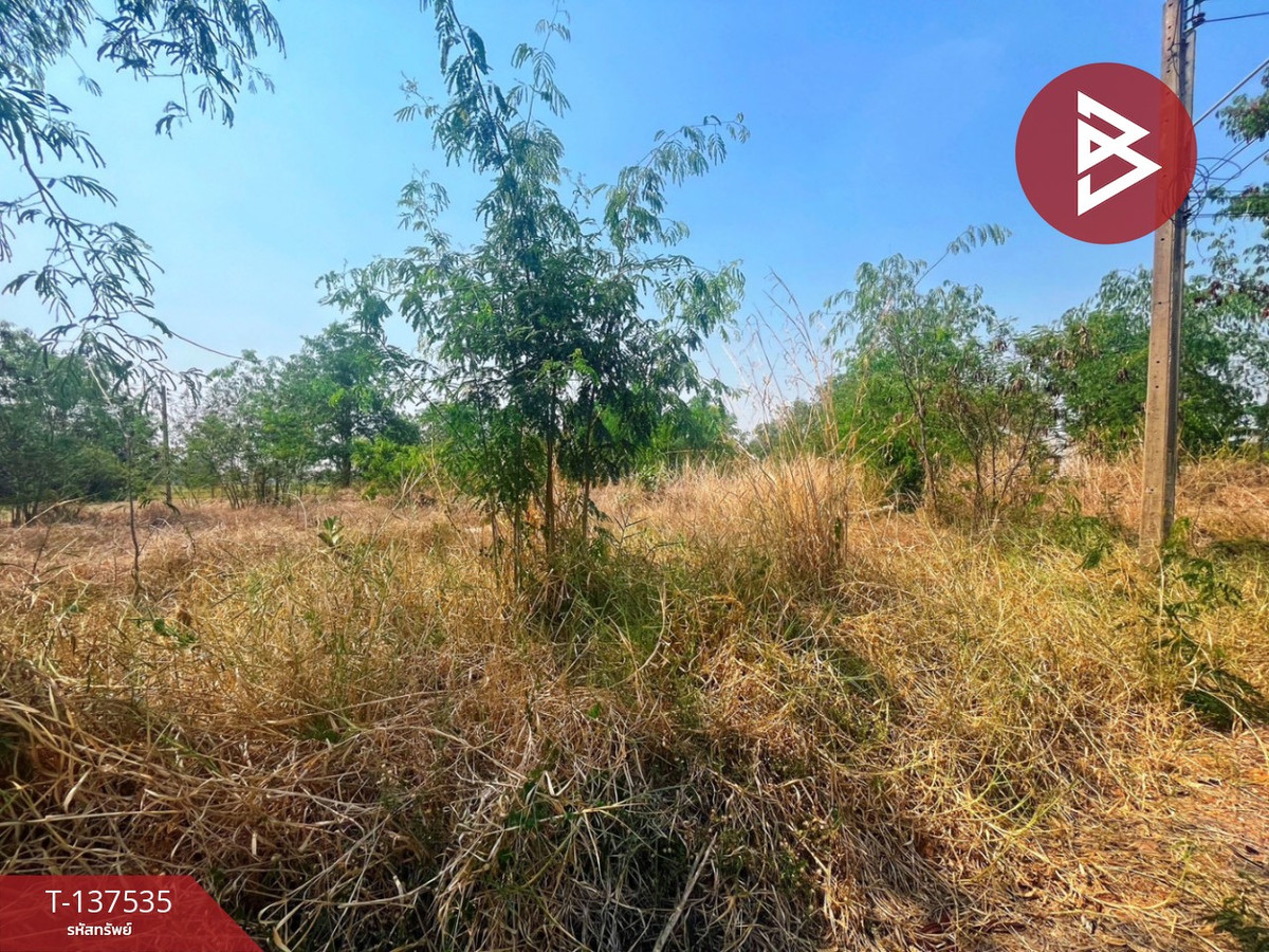 ขายที่ดินอุทัยธานี : ขายที่ดิน เนื้อที่ 1 ไร่ 20.1 ตารางวา ต.หนองฉาง อ.หนองฉาง จ.อุทัยธานี ทำเลดี ราคาถูก