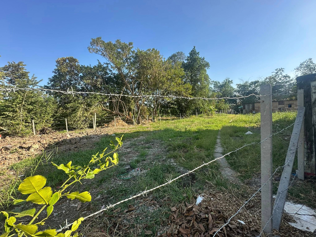 ให้เช่าที่ดินมีนบุรี-ร่มเกล้า :  ให้เช่าที่ดินทำเลดี สุวินทวงศ์ 58 (หนองจอก)