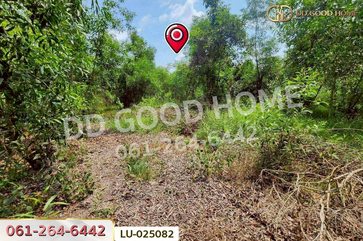 ขายที่ดินมีนบุรี-ร่มเกล้า : ที่ดินคลองสิบสอง 1 ไร่ 1 ตร.ว. หนองจอก ใกล้ศูนย์สุขภาพโรงพยาบาลเวชการุณย์รัศมิ์ LU-025082