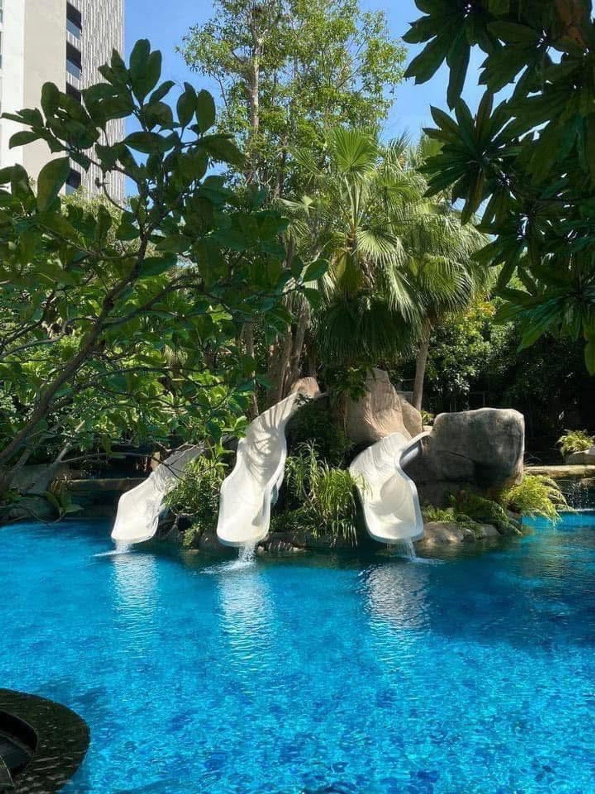 For SaleCondoPattaya, Bangsaen, Chonburi : The Riviera Wong Amat Beach / Studio (FOR SALE), The Riviera Wong Amat Beach / Studio (FOR SALE) BEWN147