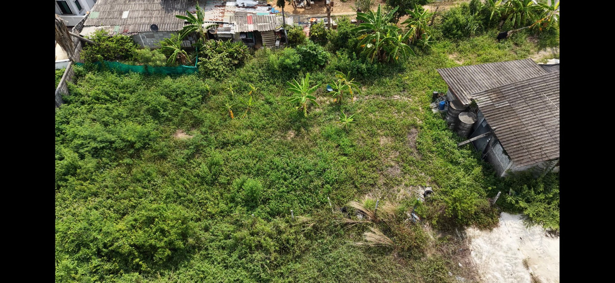 ขายที่ดินพัทยา บางแสน ชลบุรี สัตหีบ : ที่ดินสัตหีบ ซอย19 ห่างจากถนนสุขุมวิทเพียง 15 เมตร ทำเลดี ห่างจากพัทยา 20 นาที 