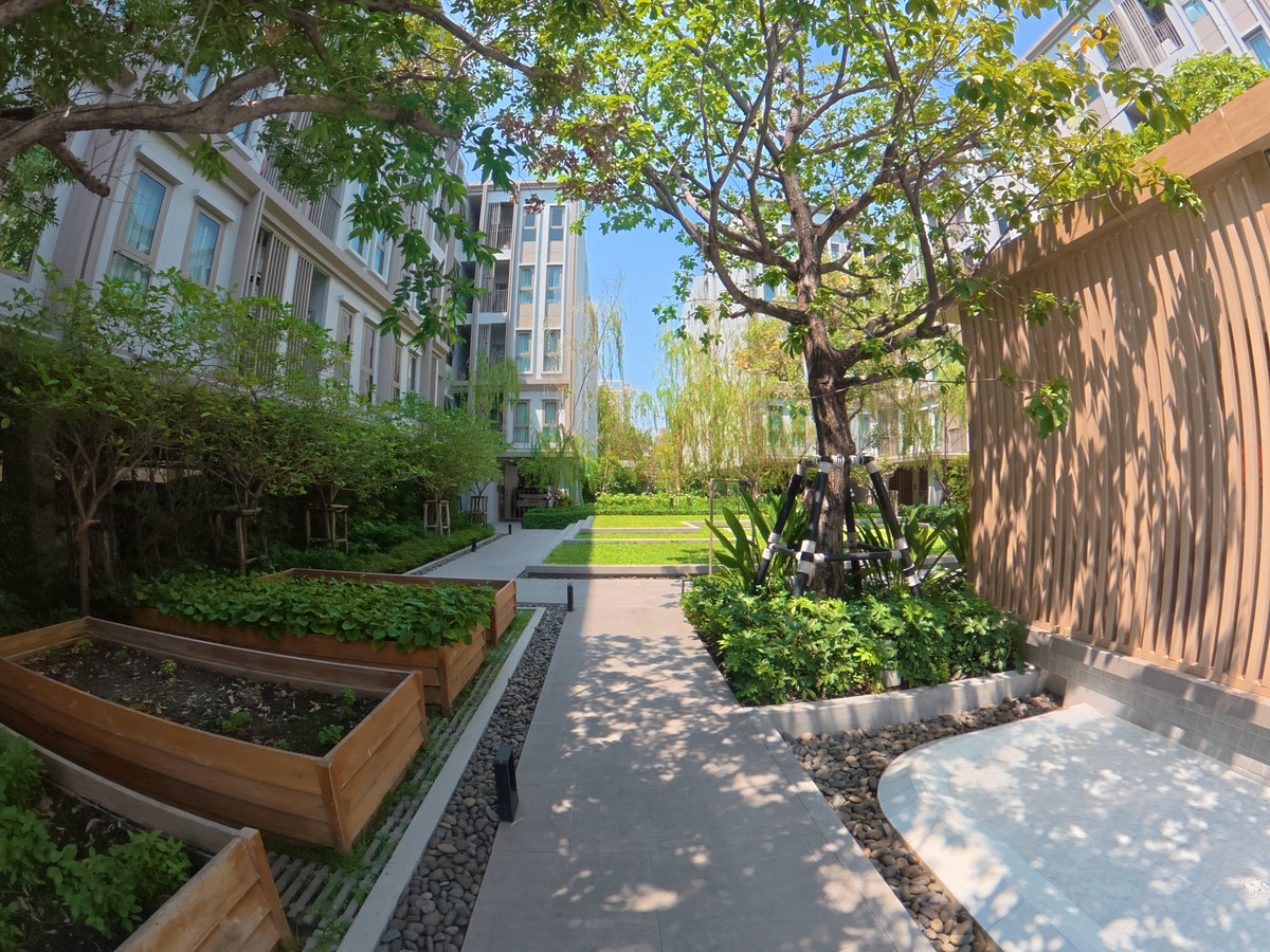 ให้เช่าคอนโดปิ่นเกล้า จรัญสนิทวงศ์ : 🏥 [FOR RENT] New Room! Near Siriraj Hospital with Shuttle Service