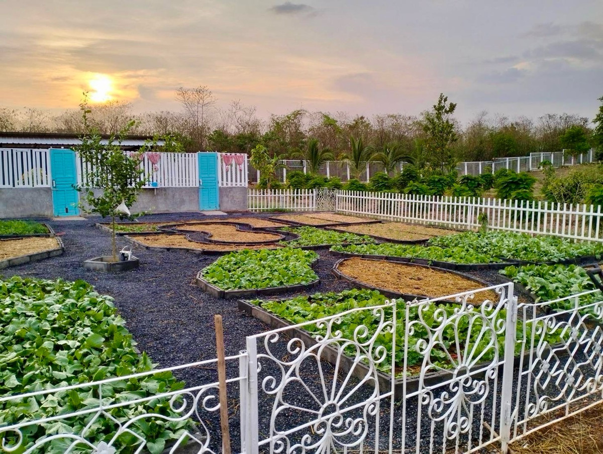 ขายที่ดินสระบุรี : ขายที่ดิน 10ไร่พร้อมบ้านเดี่ยว/รีสอร์ท วิวภูเขา เหมาะทำโรงแรม รีสอร์ท โฮมสเตย์ พูลวิลล่า Air bnb การเกษตร อยู่อาศัย วังม่วง สระบุรี แต่งสวยจัด น่าลงทุนมาก ขายถูก