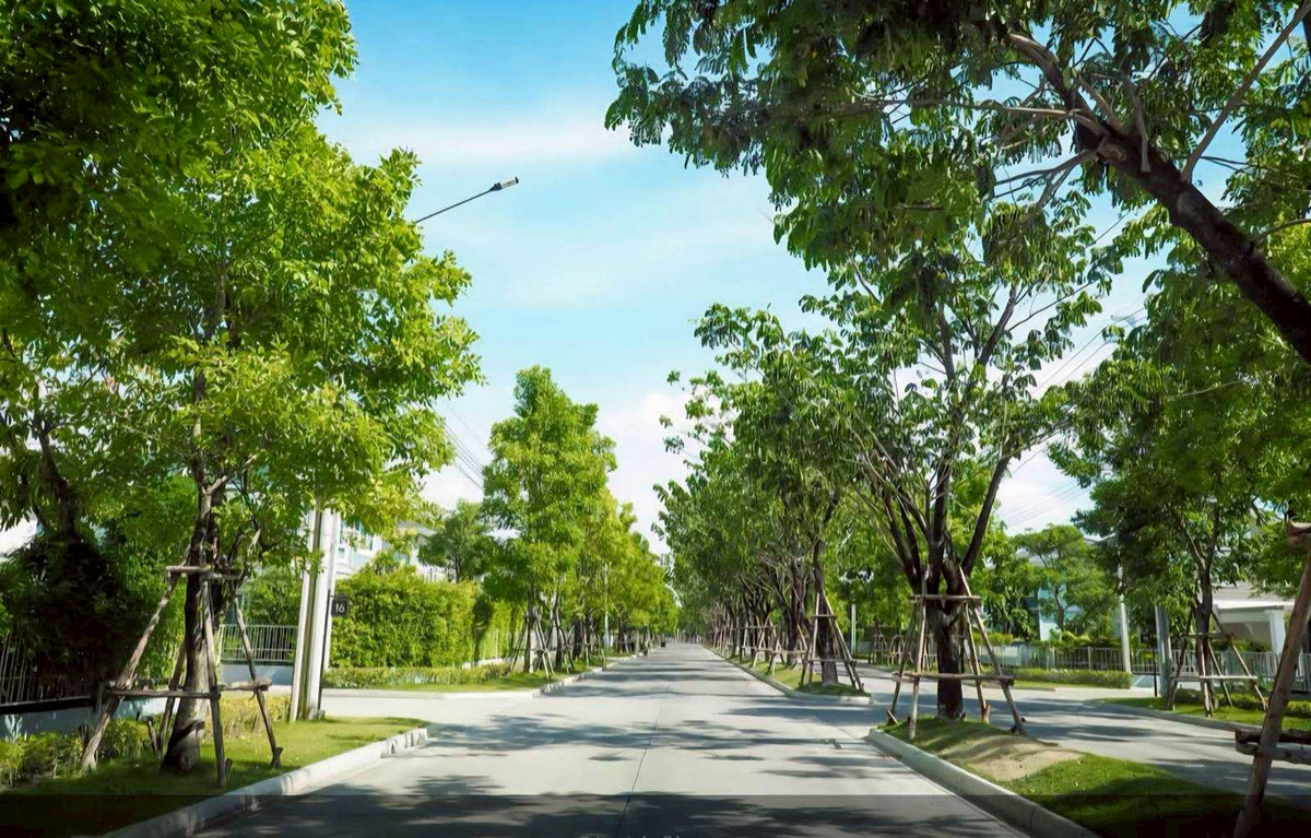 ขายบ้านพุทธมณฑล ศาลายา : 95903 - ขาย บ้านเดี่ยว 2 ชั้น โครงการ Villaggio Pinklao-Salaya ถนนสำเร็จพัฒนา ต.ศาลากลาง อ.บางกรวย จ.นนทบุรี