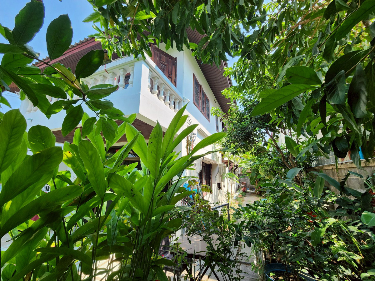 ขายบ้านเกษตร นวมินทร์ ลาดปลาเค้า : ขายบ้านเดี่ยว 99 ตร.วา หมู่บ้านเสนานิเวศน์โครงการ 2 หลัง นวมินทร์ ซิตี้ อเวนิว