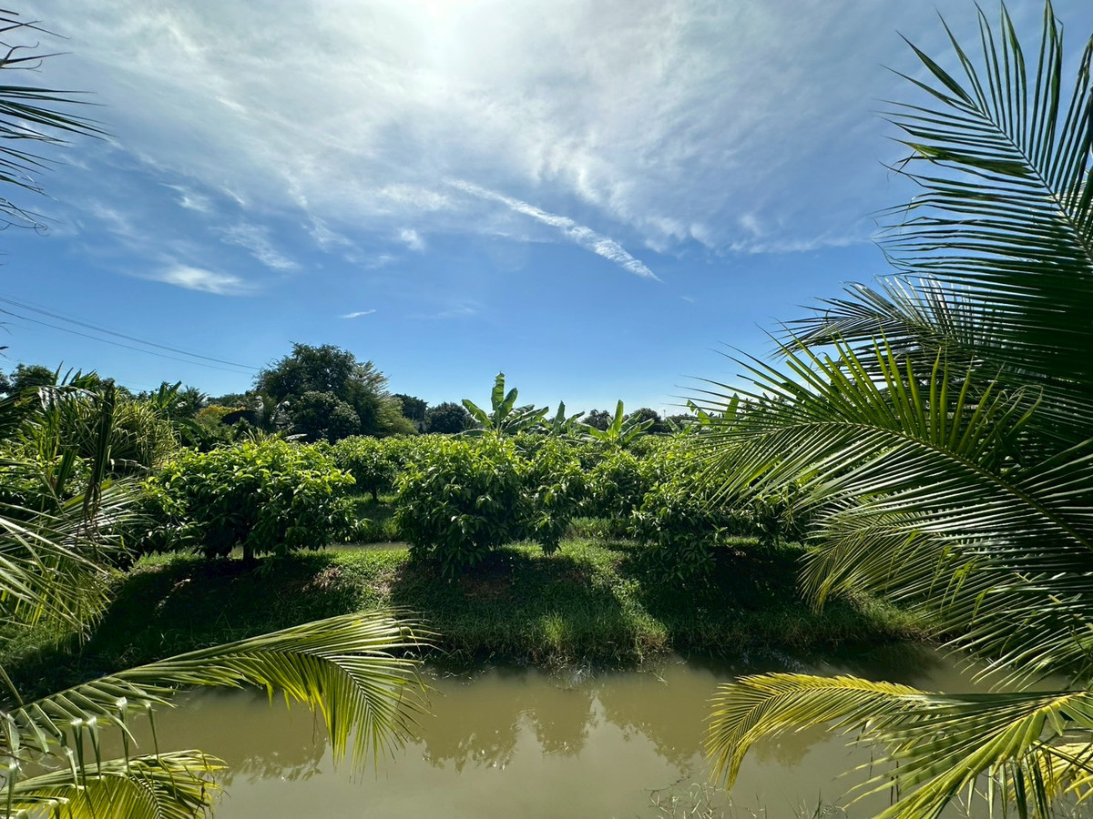 For SaleLandBang kae, Phetkasem : Empty land for sale, Soi Ruam Yat, area 8-0-72 rai, good location, convenient travel, access to water and electricity.