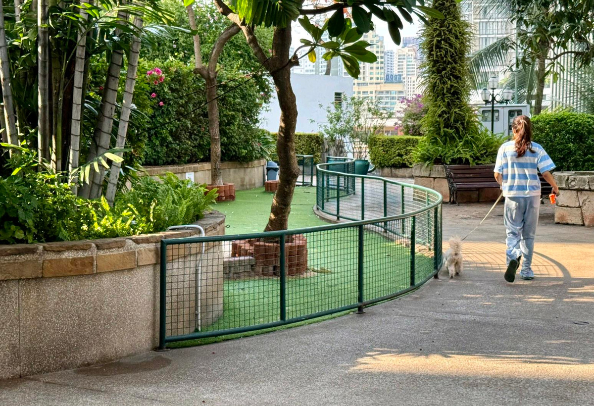 For RentCondoSukhumvit, Asoke, Thonglor : 🐶🐱Super Spacious  Pet Friendly Condo near BTS Prompong?🐶🐱