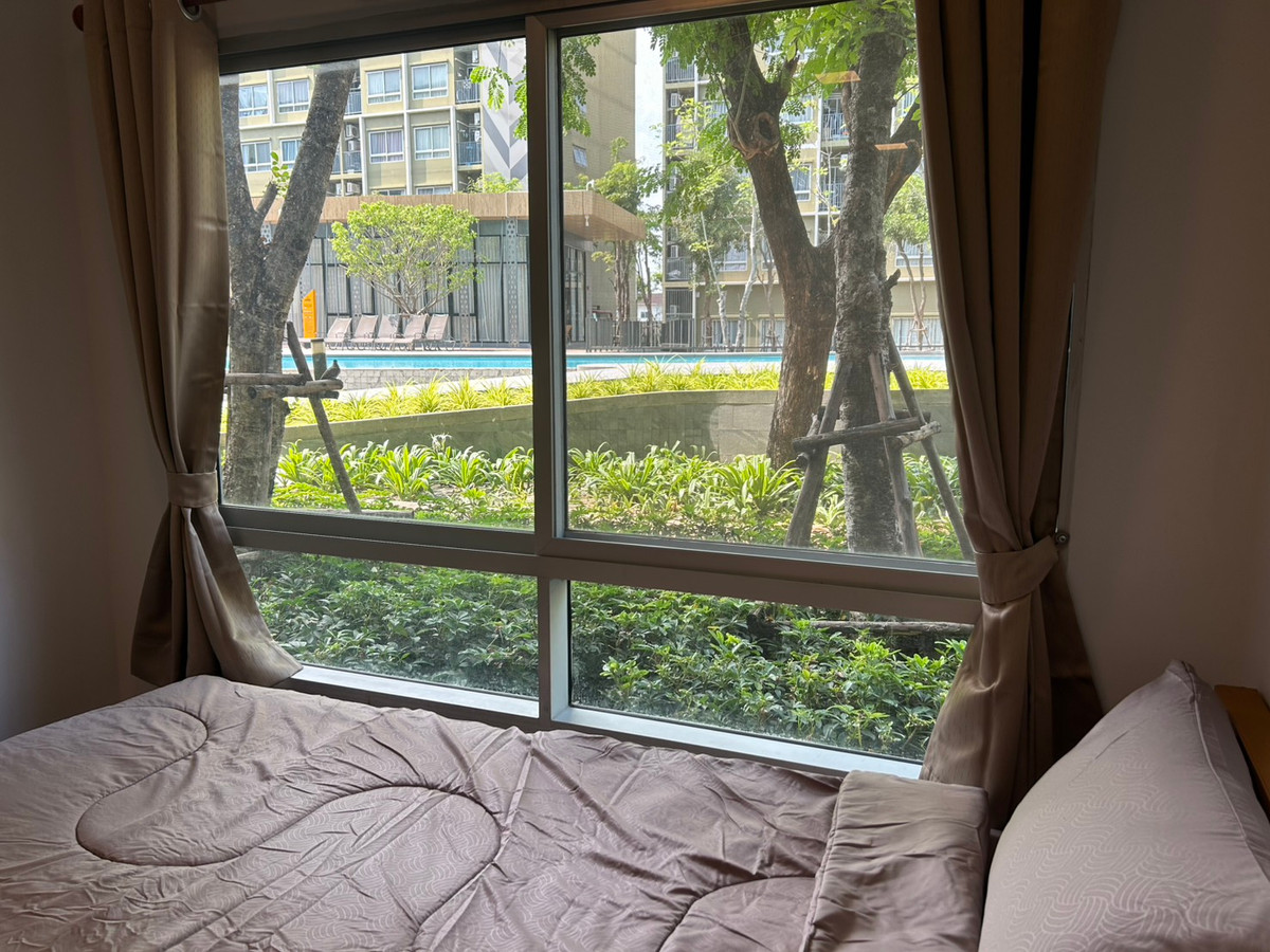 For SaleCondoPathum Thani,Rangsit, Thammasat : 97602 - Plum Condo Rangsit Alive 1 for sale.